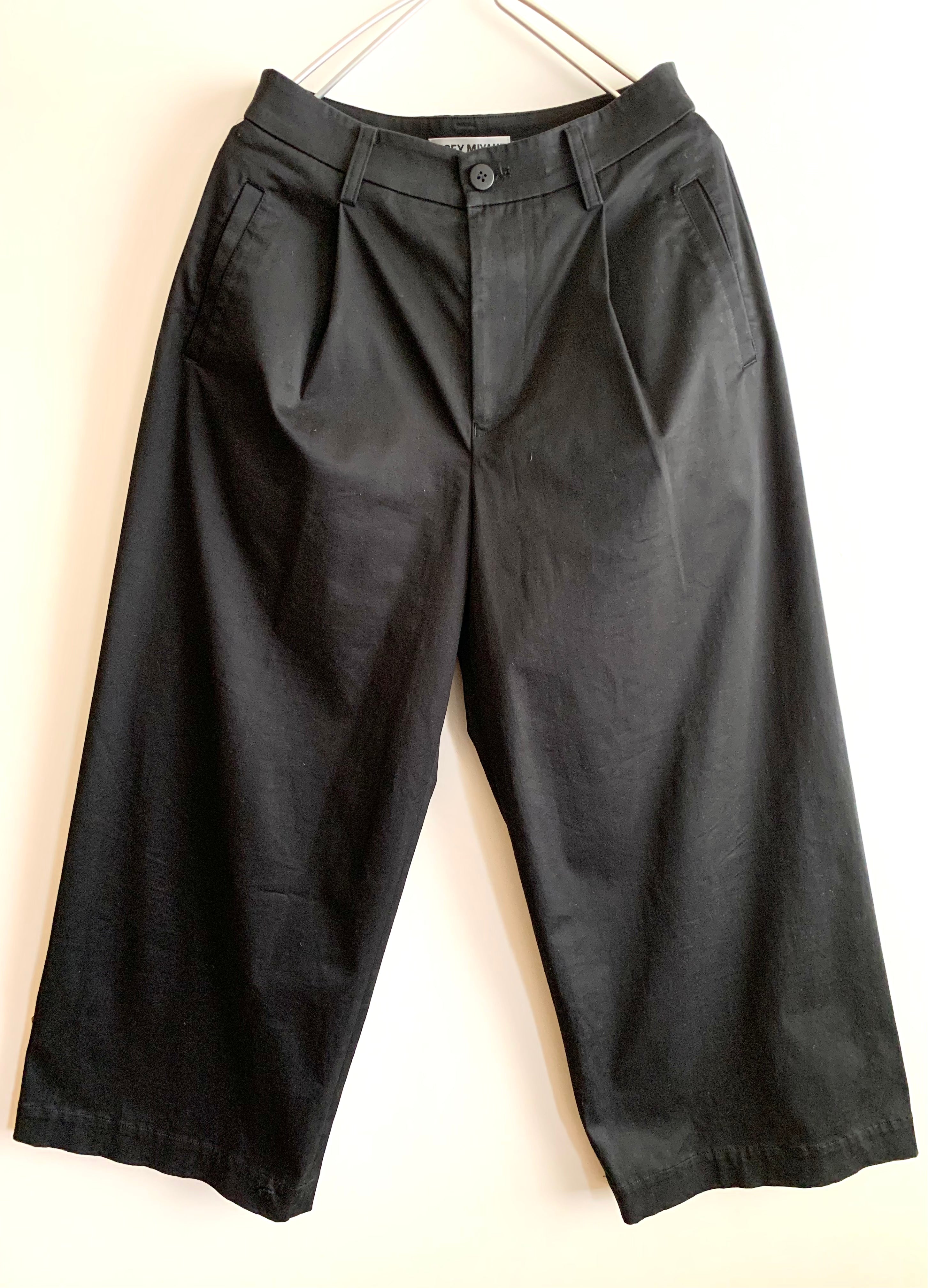 【 ISSEY MIYAKE 】 Wide Tac Pants